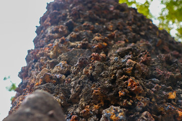 A wall made up of rock in which the front part is in focus and the background is blurred