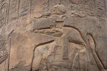 The crocodile god Sobek, in Kom Ombo temple, Egypt