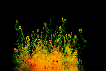 Abstract art powder paint on black background. Movement abstract frozen dust explosion multicolored on black background.