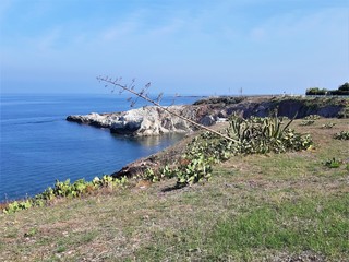 evocative image of a marine promontory with a steep coast, sea and blue sky in summer