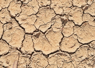Dry cracked earth during a drought. Texture. A characteristic drawing of the earth in the desert.