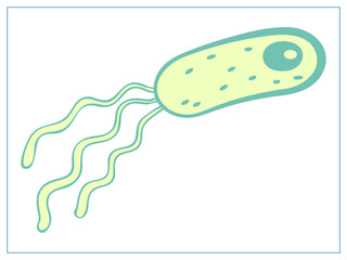 Vector flat illustration with a bacteria, virus, cells, germs or epidemic bacillus. For web, logo, app, UI. Isolated