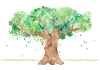 大きな木、素材、風に舞う葉