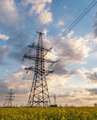 Power lines and high-voltage lines against the backdrop of blooming oilseed rape on a summer day.