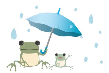 雨の日に傘をさすカエルの親子