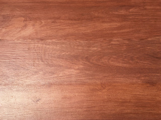 Hardwood maple texture background for design. Copy space for work