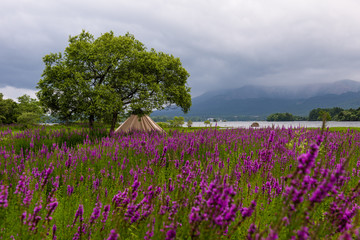 桧原湖（裏磐梯）にあるキャンプ場とテント