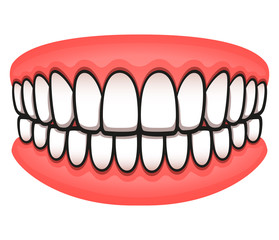 Vector teeth design isolated drawing