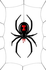 Spider Black Widow, cobweb. Red black spider 3D, spiderweb, isolated white background. Scary Halloween decoration icon web. Symbol networking, animal arachnid, creepy insect fear. Vector illustration