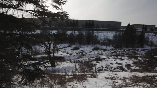 Field With Trees And Grasses Covered By Thick Ice During Winter Season - Pan Wide Shot
