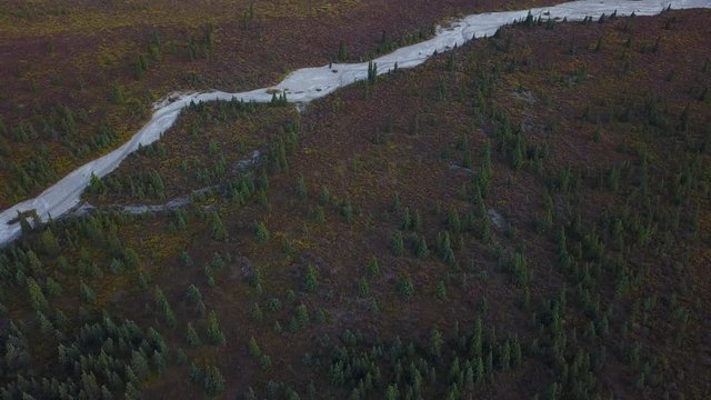 Aerial reveal of lush and vibrant fall tundra crisscrossed by glacier fed streams near Denali National Park, Alaska