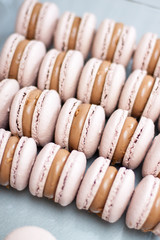 Close up view on french chocolate macaroons with glossy chocolate filling. Selective focus.