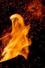 flame of fire with sparks on a black background