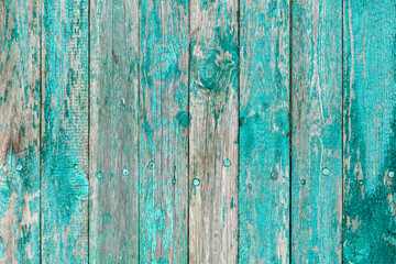 Obraz premium Wooden boards on an old blue fence as an abstract background.