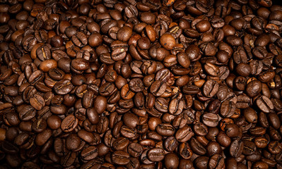 coffee bean