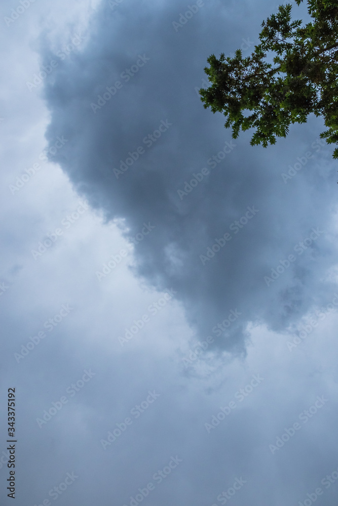 Wall mural heavy and dark thunderstorm clouds gather over a residential suburb in the highveld region of south 