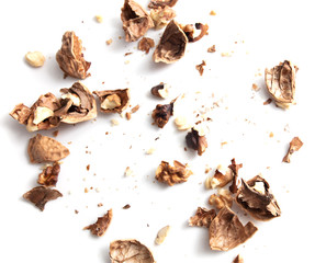 Walnuts isolated on a white background