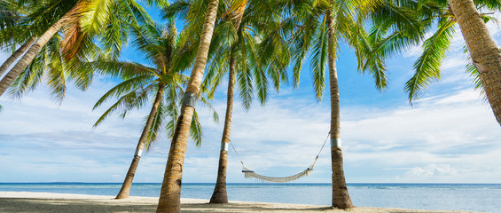 Hammock between coconuts palms on the beautiful tropical beach. Banner edition.