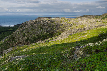 Fototapeta na wymiar Blue north sea and bright green valley of tundra - view from granite highlands in sunny day, arctic, Norway.