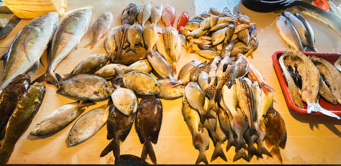 Fresh fishes in asian market. Selective focus. Banner..