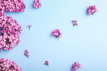 Beautiful lilac flowers on color background