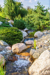 mountain river in the forest