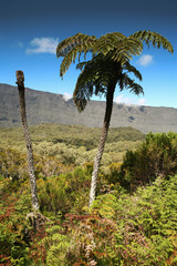 Fototapeta premium L'ile de La Réunion dans l'océan Indien, France