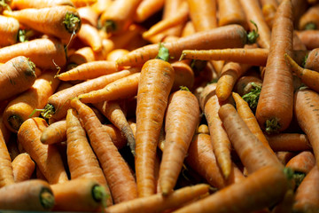 Fresh carrots at the market