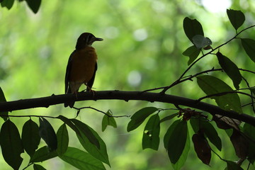 Beautiful images captured from my place.