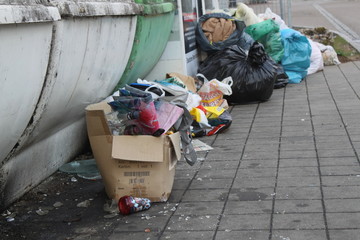 Abgelegter Müll im Grünen und vor Container