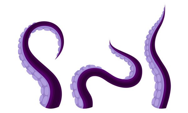 Octopus Tentacles or Limbs Wiggling and Snaking Vector Set