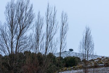 winter landscape with snow covered trees