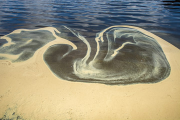 Obraz premium Pollen draw fantastic pattern on the water of pond