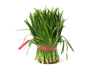 Leek on a white background 