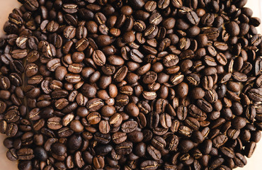 Dark roasted Arabica coffee beans in a box at home