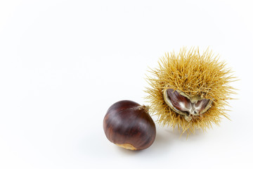 sweet chestnut fruits isolated on white closeup