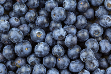 fresh blueberry fruits top view closeup background