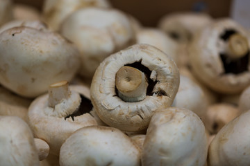 mushrooms on a wooden table