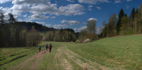 Fototapeta na wymiar Panorama Krolewska Góra Polczakówka