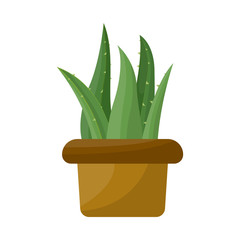 Isolated object of aloe and pot sign. Graphic of aloe and cactus stock symbol for web.