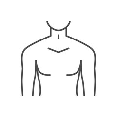 Male torso related vector thin line icon. Isolated on white background. Editable stroke. Vector illustration.