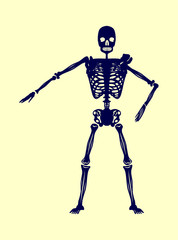 skeleton and skull print and embroidery graphic design vector art