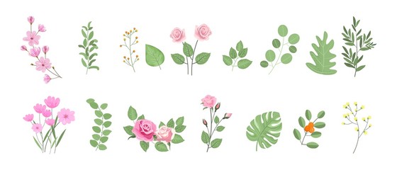 Vector design flowers and leaves , Flowers pink rose, sakura, Green leaves, Design Invitation cards, Greeting Card, Poster, wedding card.
