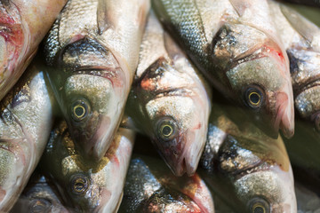 Freshly caught fish for sale at the market