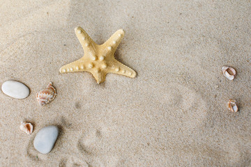 Fototapeta na wymiar White sand with seashells and stones