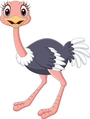 Fototapeta premium Cartoon baby ostrich isolated on white background