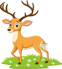 Cartoon deer in the grass