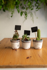 flower pots with messages