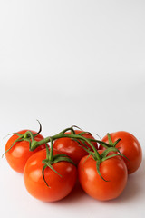 Tomatoes on a vine on a white background. Vertical orientation