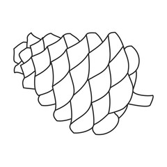 Pineof cone vector icon.outline vector icon isolated on white background pine of cone.